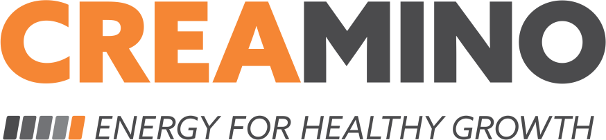 Cremino Logo